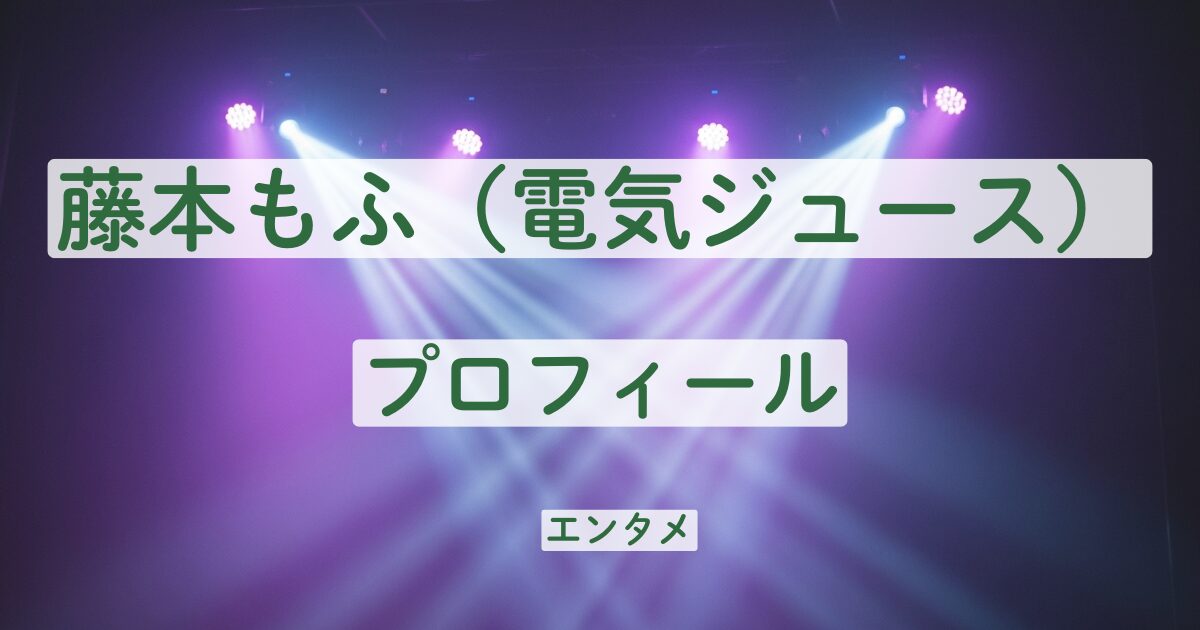 電気ジュース　藤本もふ　プロフィール　前職　保育士　本名　学歴　高校　大学　出身　奈良
